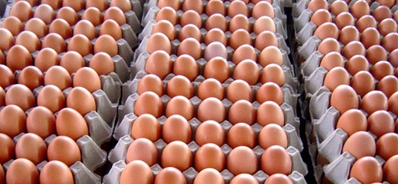 Image of https://mayorsap.com/storage/photos/shares/egg-anda_2.jpeg