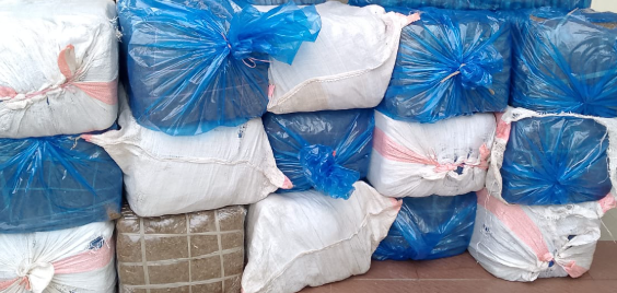 Image of https://mayorsap.com/storage/photos/shares/gaja.PNG