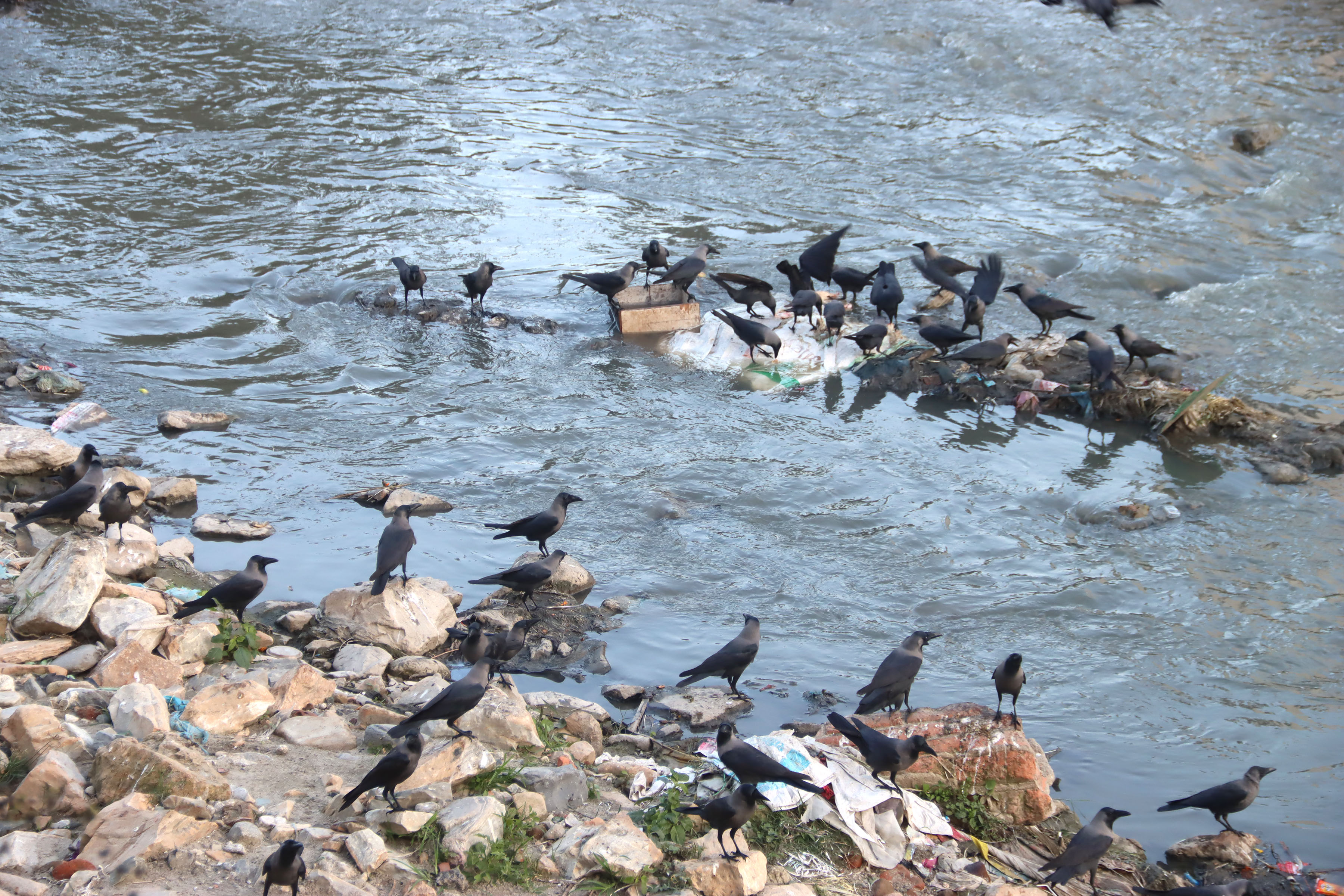 Image of https://mayorsap.com/storage/photos/shares/hrb-ktm-1000259641.jpg