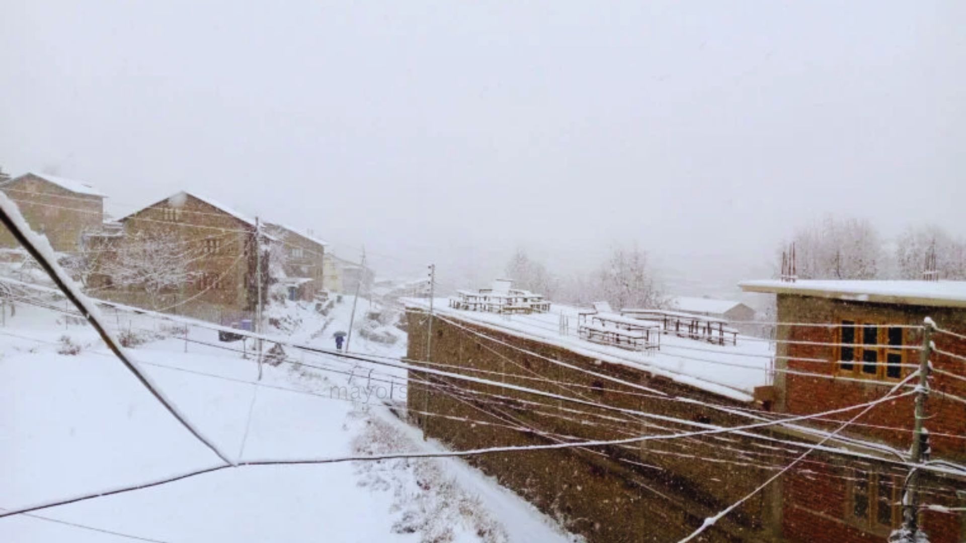 Image of https://mayorsap.com/storage/photos/shares/jimla-hiu.jpg