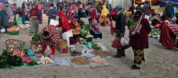 Image of https://mayorsap.com/storage/photos/shares/kirsi-7.PNG