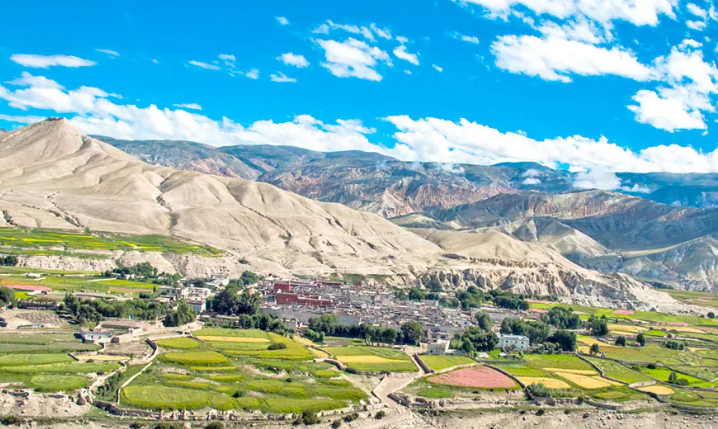 Image of https://mayorsap.com/storage/photos/shares/krishi_1.PNG