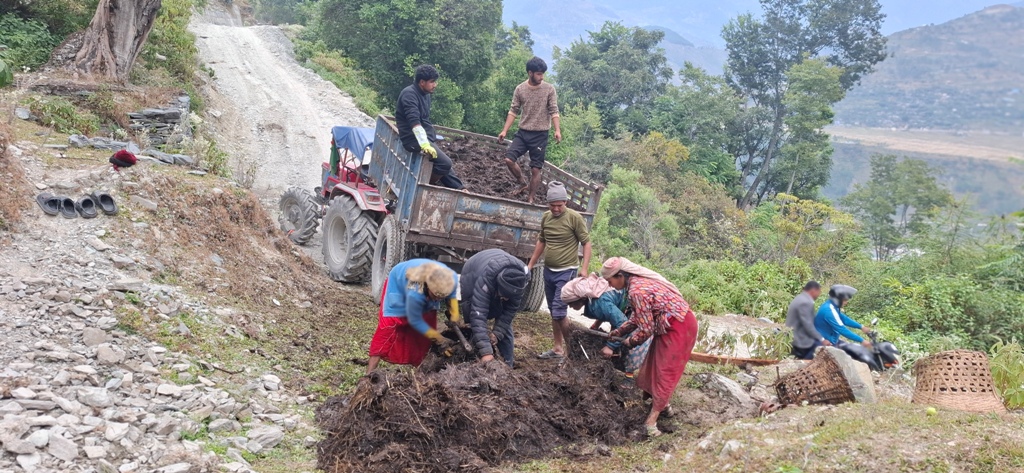 Image of https://mayorsap.com/storage/photos/shares/m.jpg