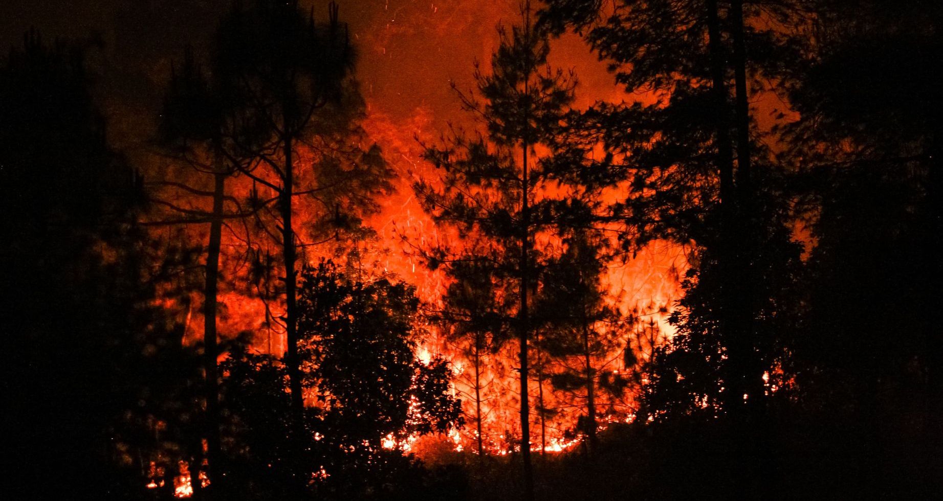 Image of https://mayorsap.com/storage/photos/shares/nagarkot-dadatol-fire-nt-5-1618555781.jpg