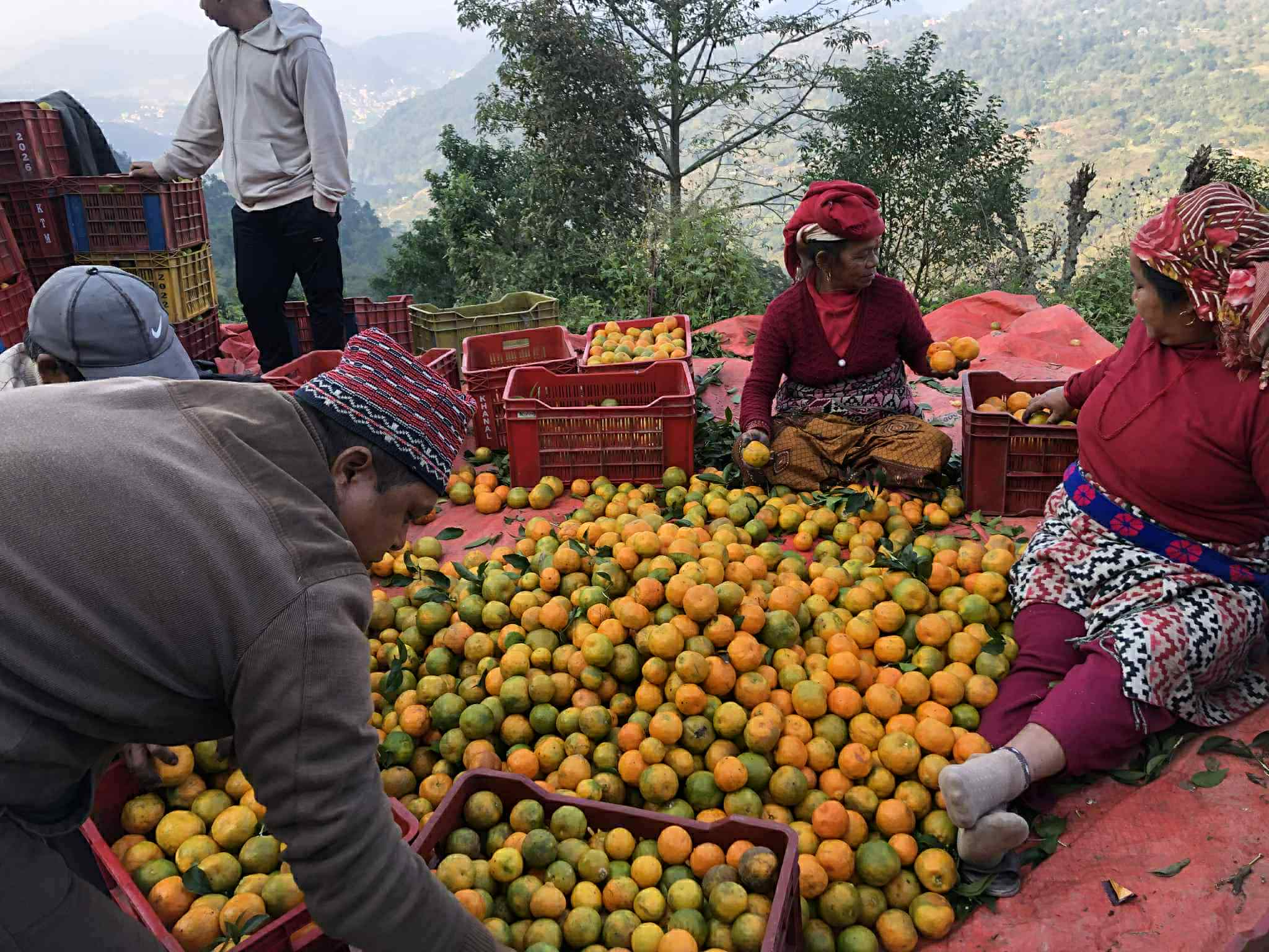 Image of https://mayorsap.com/storage/photos/shares/ph-suntala.jpg