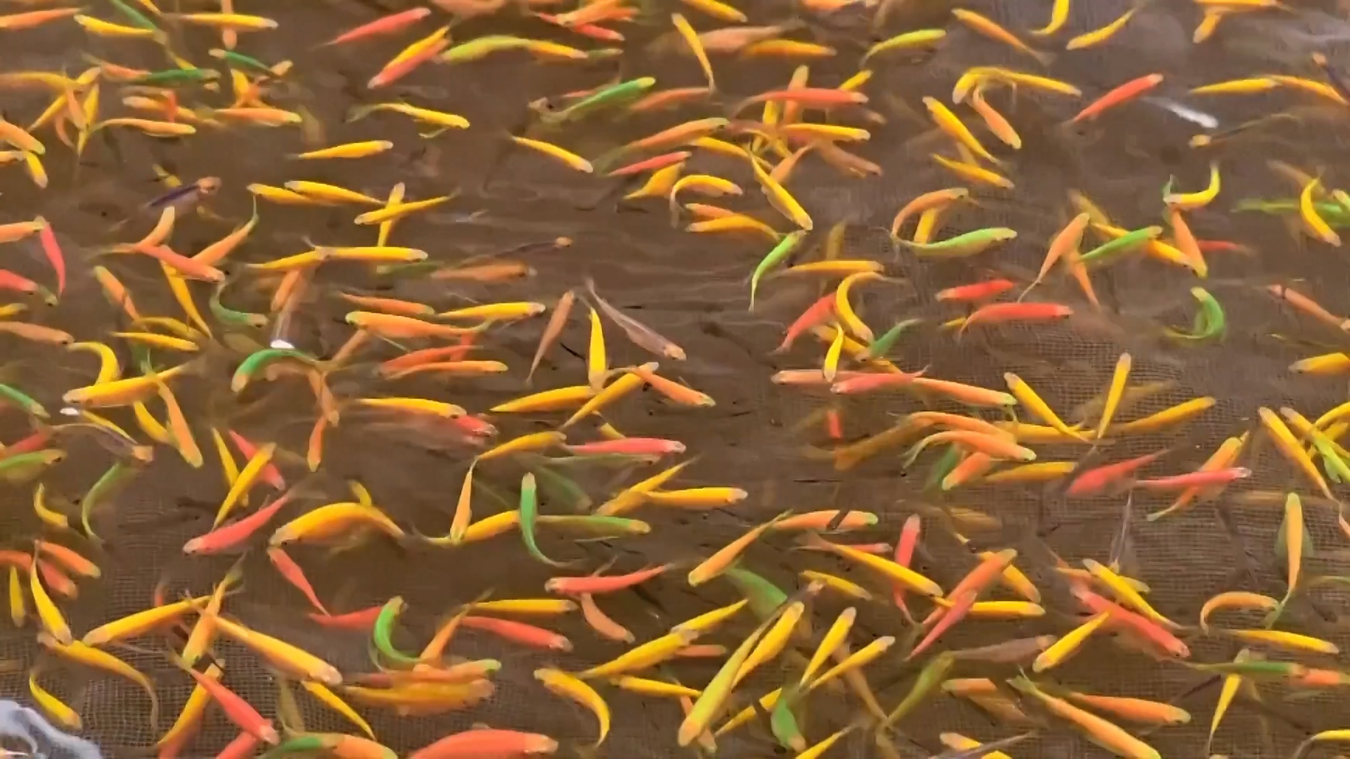 Image of https://mayorsap.com/storage/photos/shares/photo-16-11.jpg