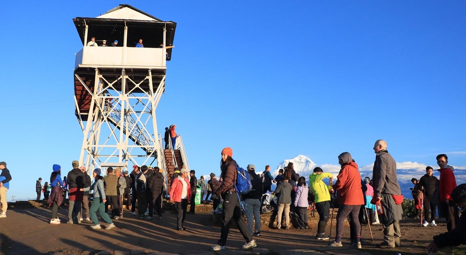 Image of https://mayorsap.com/storage/photos/shares/punhill.jpg