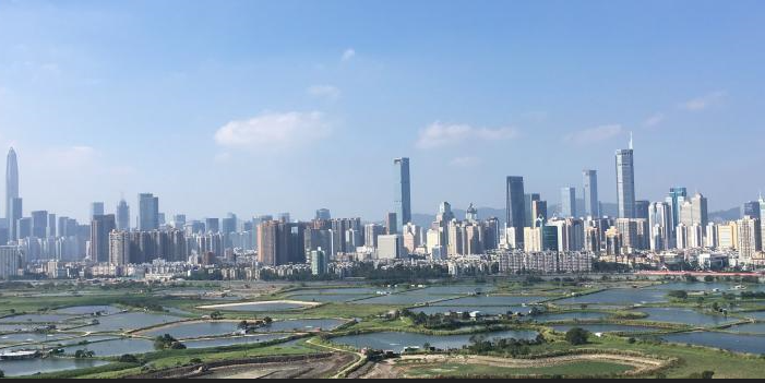 Image of https://mayorsap.com/storage/photos/shares/sahar.PNG