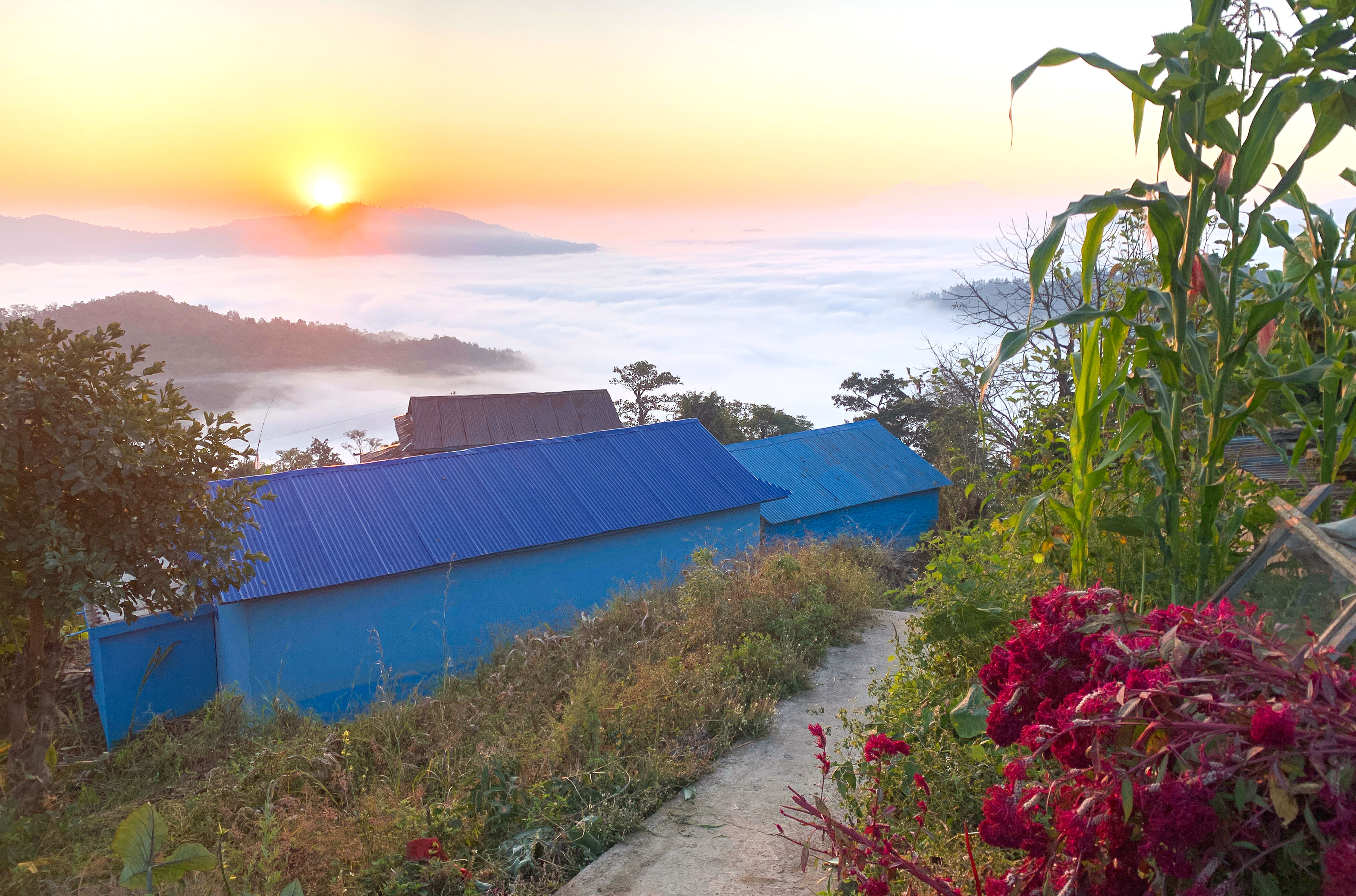 Image of https://mayorsap.com/storage/photos/shares/sg-bandipur-sun-image-3.jpg