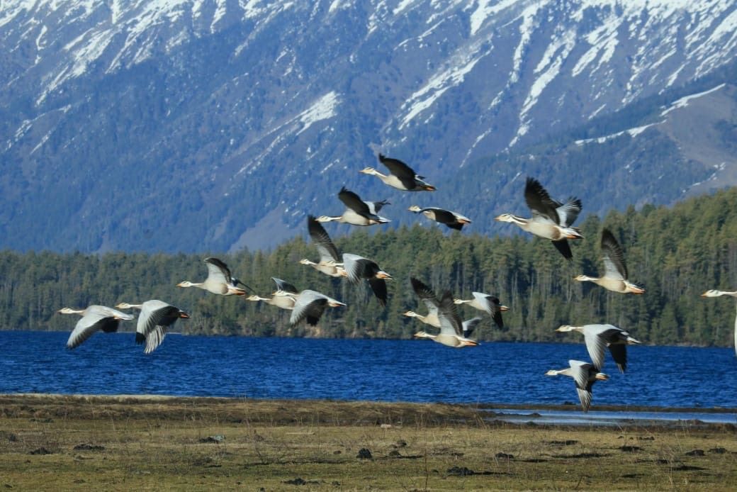 Image of https://mayorsap.com/storage/photos/shares/simsar.jpg