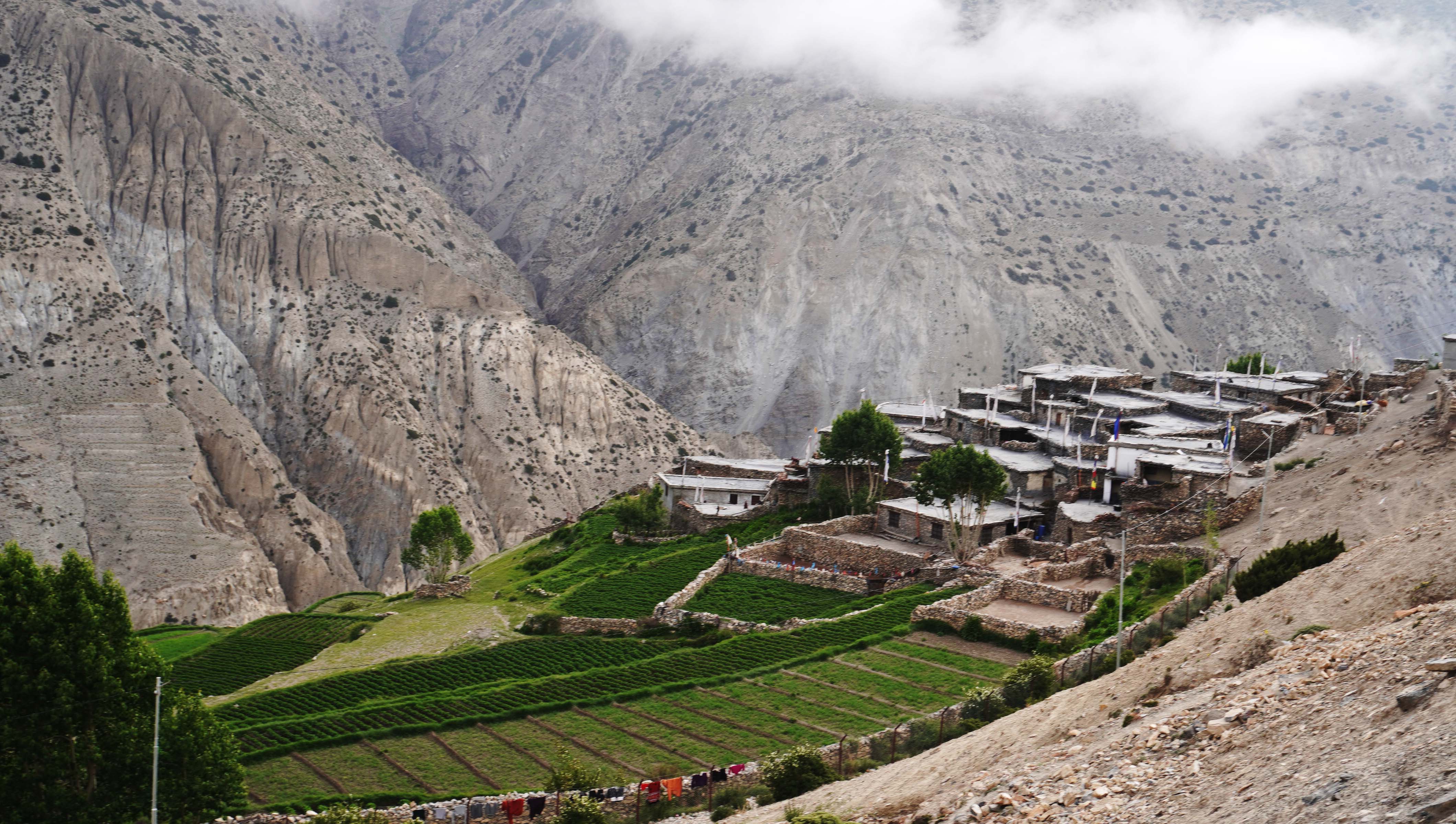 Image of https://mayorsap.com/storage/photos/shares/sundar.JPG