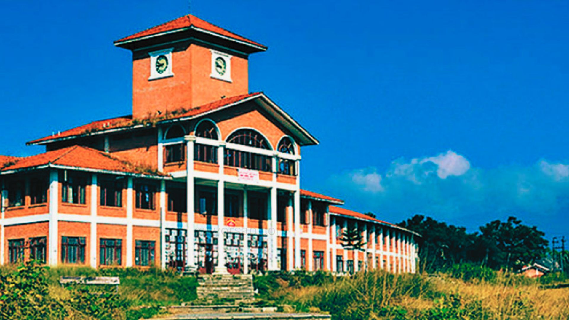 Image of https://mayorsap.com/storage/photos/shares/t-u.jpg